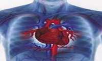 هشدار در خصوص عوارض قلبی-عروقی ناشی از مصرف سیبوترامین